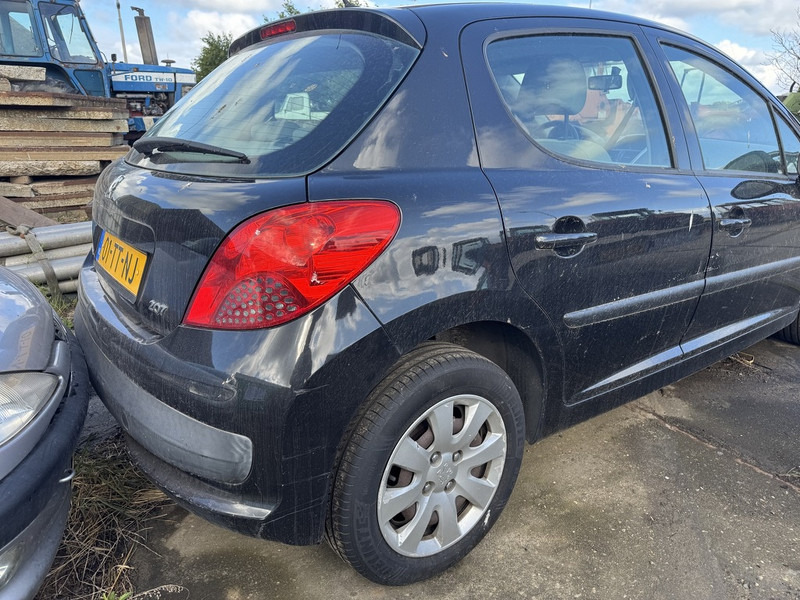 Coche Peugeot 207: foto 9 Coche Peugeot 207: foto 9