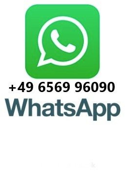 MAN TGS 18.360 4x4 Winterdienst Meiller Fahrgestell - Chasis camión: foto 2 MAN TGS 18.360 4x4 Winterdienst Meiller Fahrgestell - Chasis camión: foto 2