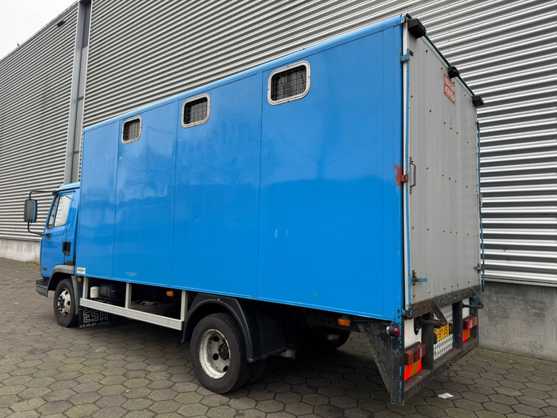 DAF LF45.130 / Horse Truck / 6 Cilinder / Manual Gearbox / Euro 2 / NL Trucks - Transporte de ganado camión: foto 4 DAF LF45.130 / Horse Truck / 6 Cilinder / Manual Gearbox / Euro 2 / NL Trucks - Transporte de ganado camión: foto 4