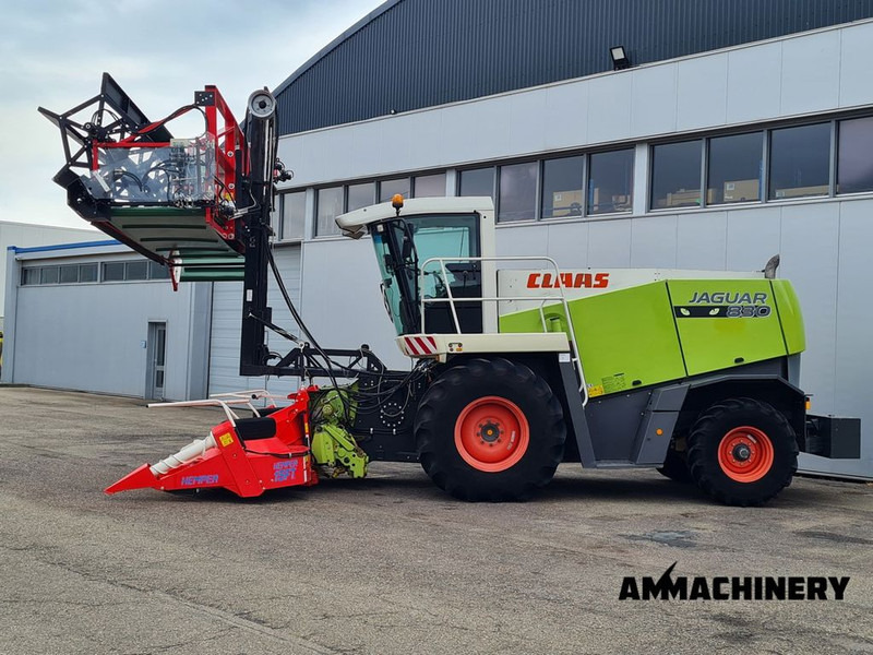 Claas Jaguar Double Cut HEMPER - Cosechadora de forraje: foto 4 Claas Jaguar Double Cut HEMPER - Cosechadora de forraje: foto 4