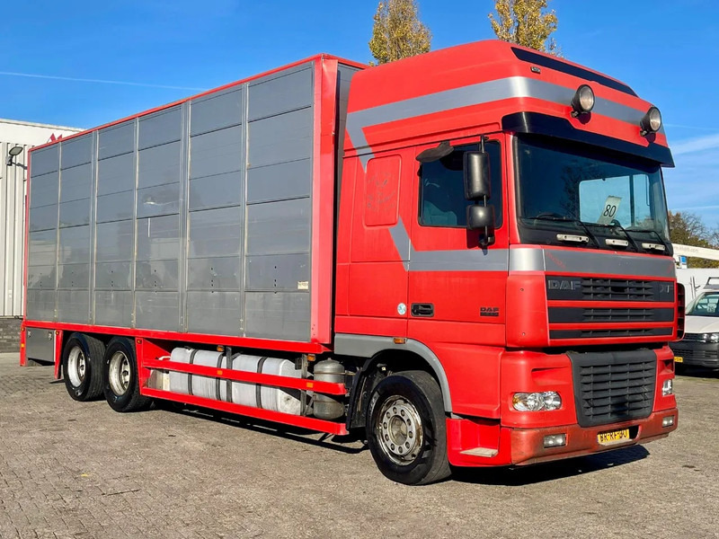 DAF XF 95.430 BERDEX 3 decks. Water, fans, Scales! Excellent condition. - Transporte de ganado camión: foto 5 DAF XF 95.430 BERDEX 3 decks. Water, fans, Scales! Excellent condition. - Transporte de ganado camión: foto 5