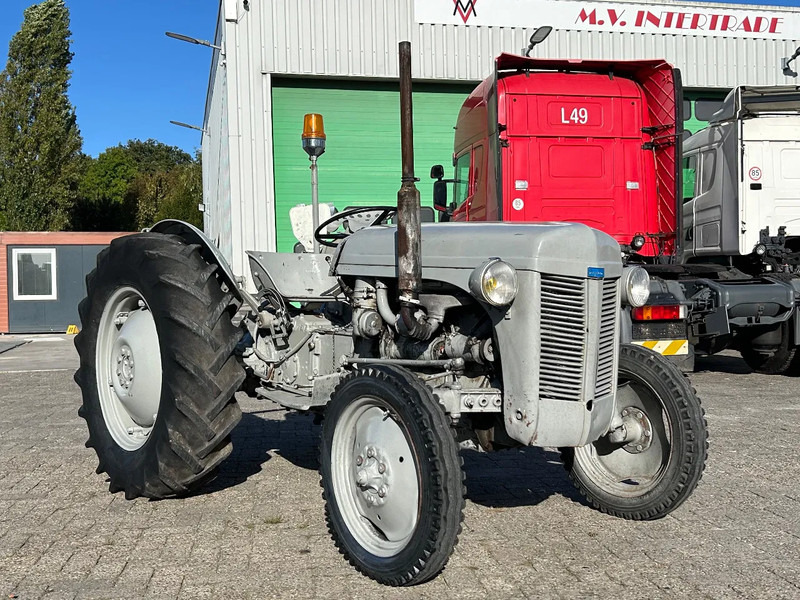 Diversen FERGUSON tractor - Tractor: foto 2 Diversen FERGUSON tractor - Tractor: foto 2