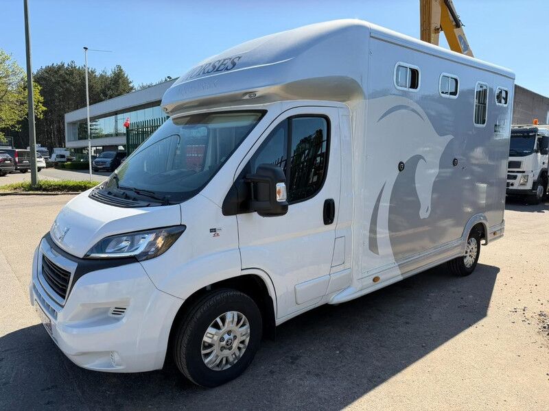 Peugeot Equi-Trek Sonic SW35P HORSE TRUCK (2) PAARDENCAMION - B RIJBEWIJS - CAMERA - 3.5T - *14.000km* ORIGINAL - BE CAR - Vehículo comercial ligero: foto 4 Peugeot Equi-Trek Sonic SW35P HORSE TRUCK (2) PAARDENCAMION - B RIJBEWIJS - CAMERA - 3.5T - *14.000km* ORIGINAL - BE CAR - Vehículo comercial ligero: foto 4