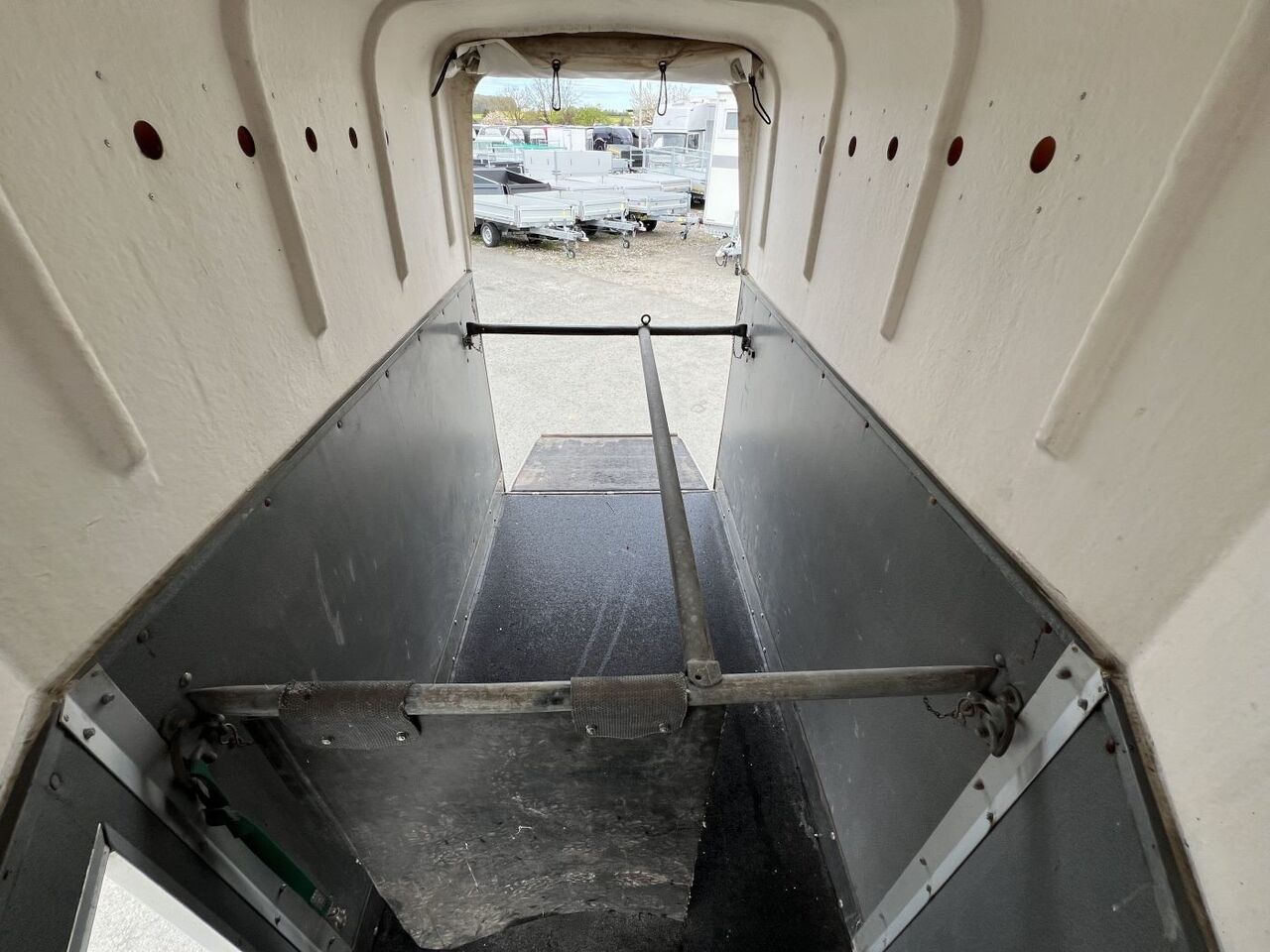 BLOMERT T 1 EP Pferdeanhänger - Transporte de ganado remolque: foto 5 BLOMERT T 1 EP Pferdeanhänger - Transporte de ganado remolque: foto 5