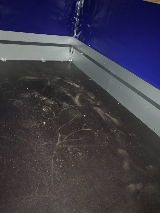 Humbaur Steely mit Hochplane 140 cm, 750 kg 2050x1095x300mm - Remolque de coche: foto 4 Humbaur Steely mit Hochplane 140 cm, 750 kg 2050x1095x300mm - Remolque de coche: foto 4