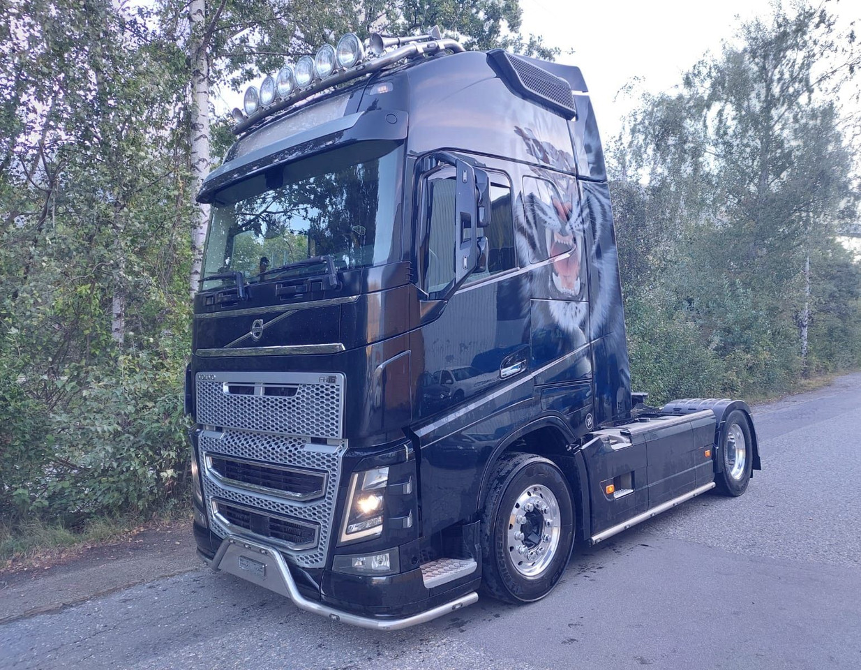Volvo FH16-650 4x2, Euro 6, VEB, airbrush - Cabeza tractora: foto 1 Volvo FH16-650 4x2, Euro 6, VEB, airbrush - Cabeza tractora: foto 1