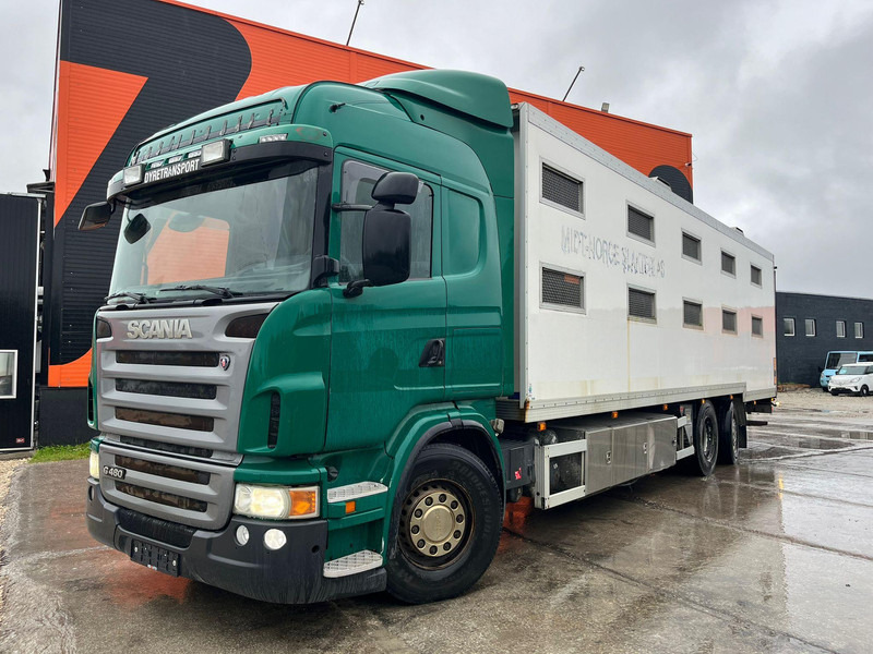 Scania G 480 6x2*4 BOX L=9212 mm / COOLANT LEAKAGE ON 3 RD CYLINDER - Transporte de ganado camión: foto 2 Scania G 480 6x2*4 BOX L=9212 mm / COOLANT LEAKAGE ON 3 RD CYLINDER - Transporte de ganado camión: foto 2