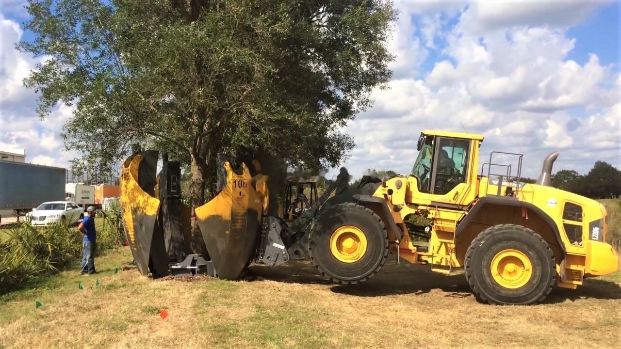 Implemento para Cargadora de ruedas nuevo AME Tree Spade: foto 13