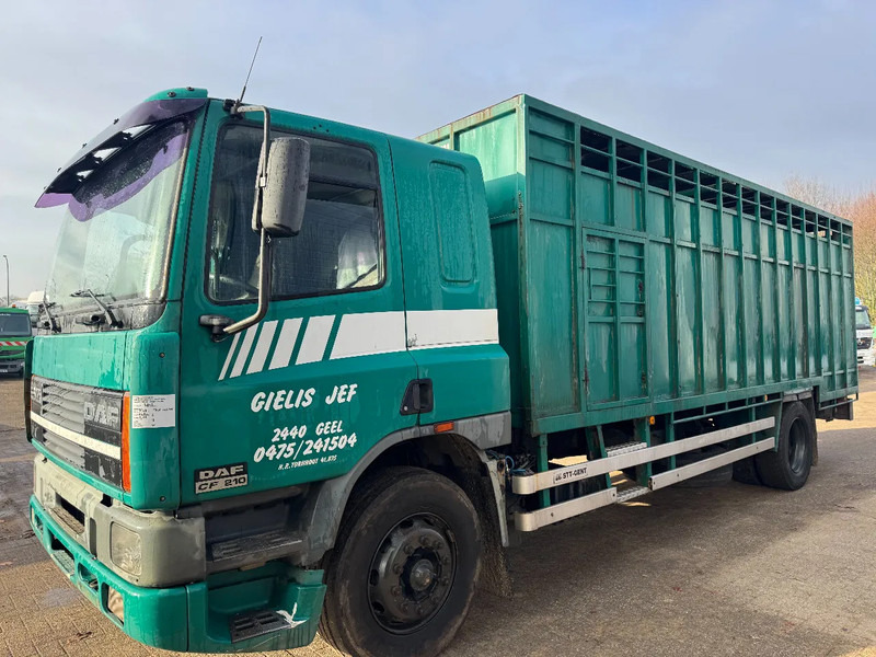 DAF 65.210 **BELGIAN TRUCK-FULL STEEL** - Camión caja cerrada: foto 1 DAF 65.210 **BELGIAN TRUCK-FULL STEEL** - Camión caja cerrada: foto 1