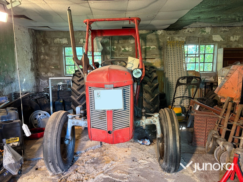 Traktor - Ferguson Grålle - Tractor: foto 2 Traktor - Ferguson Grålle - Tractor: foto 2