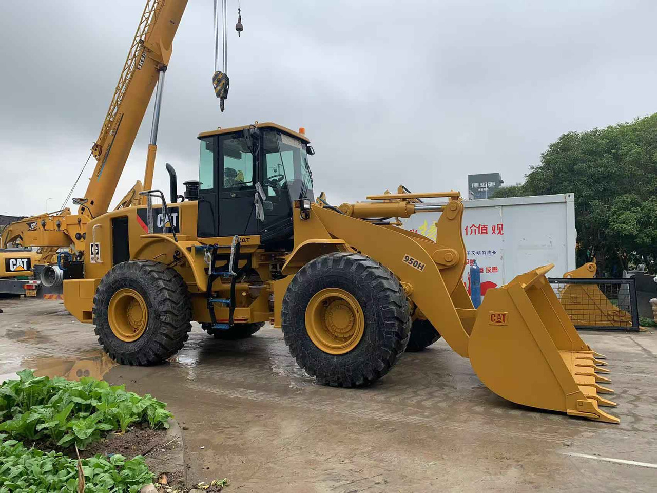 Caterpillar Wheel Loader CAT 950H, 950G Secondhand Condition - Cargadora de ruedas: foto 2 Caterpillar Wheel Loader CAT 950H, 950G Secondhand Condition - Cargadora de ruedas: foto 2