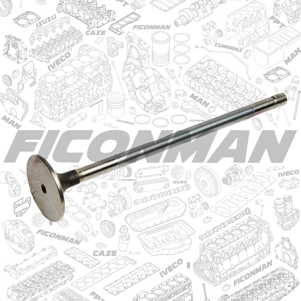 FPT IVECO CASE Cursor9 F2CFE614A*B041/F2CGE614F*V004 5802431166 Intake Valve500354685 - Válvula: foto 1 FPT IVECO CASE Cursor9 F2CFE614A*B041/F2CGE614F*V004 5802431166 Intake Valve500354685 - Válvula: foto 1