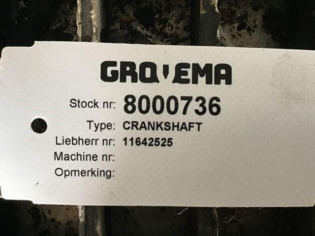 Liebherr Crankshaft - Cigüeñal: foto 4 Liebherr Crankshaft - Cigüeñal: foto 4