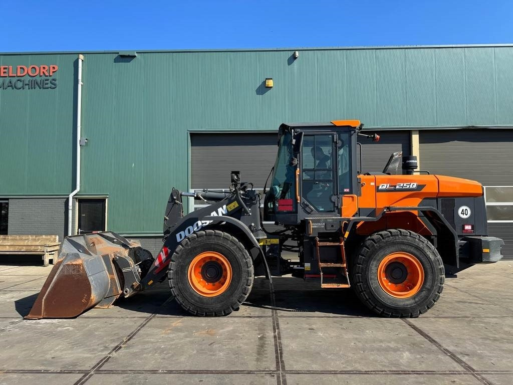 Doosan DL250-7 - Cargadora de ruedas: foto 1 Doosan DL250-7 - Cargadora de ruedas: foto 1