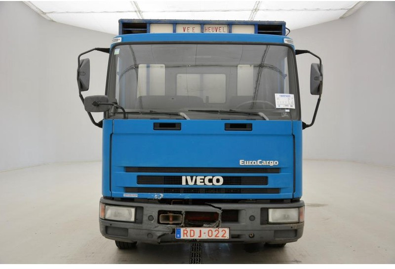 Iveco 65E14 - Transporte de ganado camión: foto 2 Iveco 65E14 - Transporte de ganado camión: foto 2