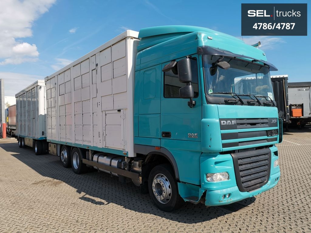 DAF XF 105.460 / Intarder / 4 Stock / KOMPLETT ! DAF XF 105.460 / Intarder / 4 Stock / KOMPLETT ! - Transporte de ganado camión: foto 4 DAF XF 105.460 / Intarder / 4 Stock / KOMPLETT ! DAF XF 105.460 / Intarder / 4 Stock / KOMPLETT ! - Transporte de ganado camión: foto 4