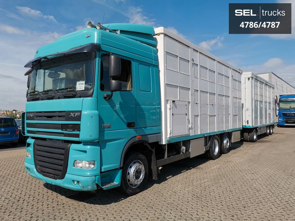 DAF XF 105.460 / Intarder / 4 Stock / KOMPLETT ! DAF XF 105.460 / Intarder / 4 Stock / KOMPLETT ! - Transporte de ganado camión: foto 2 DAF XF 105.460 / Intarder / 4 Stock / KOMPLETT ! DAF XF 105.460 / Intarder / 4 Stock / KOMPLETT ! - Transporte de ganado camión: foto 2