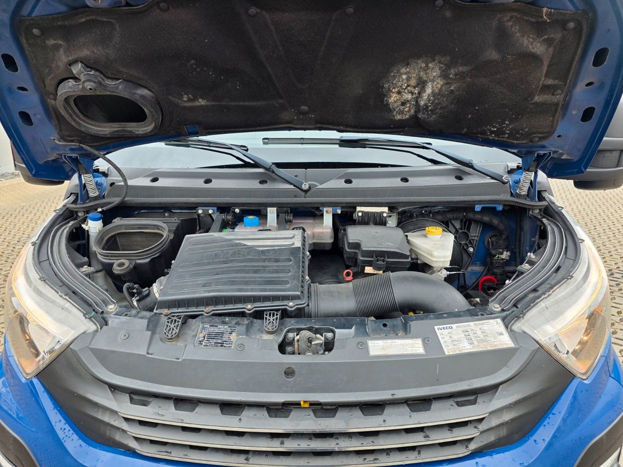 Furgoneta con caja de lona Iveco Daily 70C18 Hi-Matic / Ladebordwand / 3 Sitzen: foto 17
