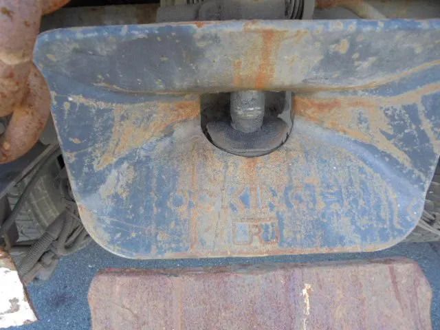 Portacontenedor de cadenas camión DAF LF LF 320: foto 8