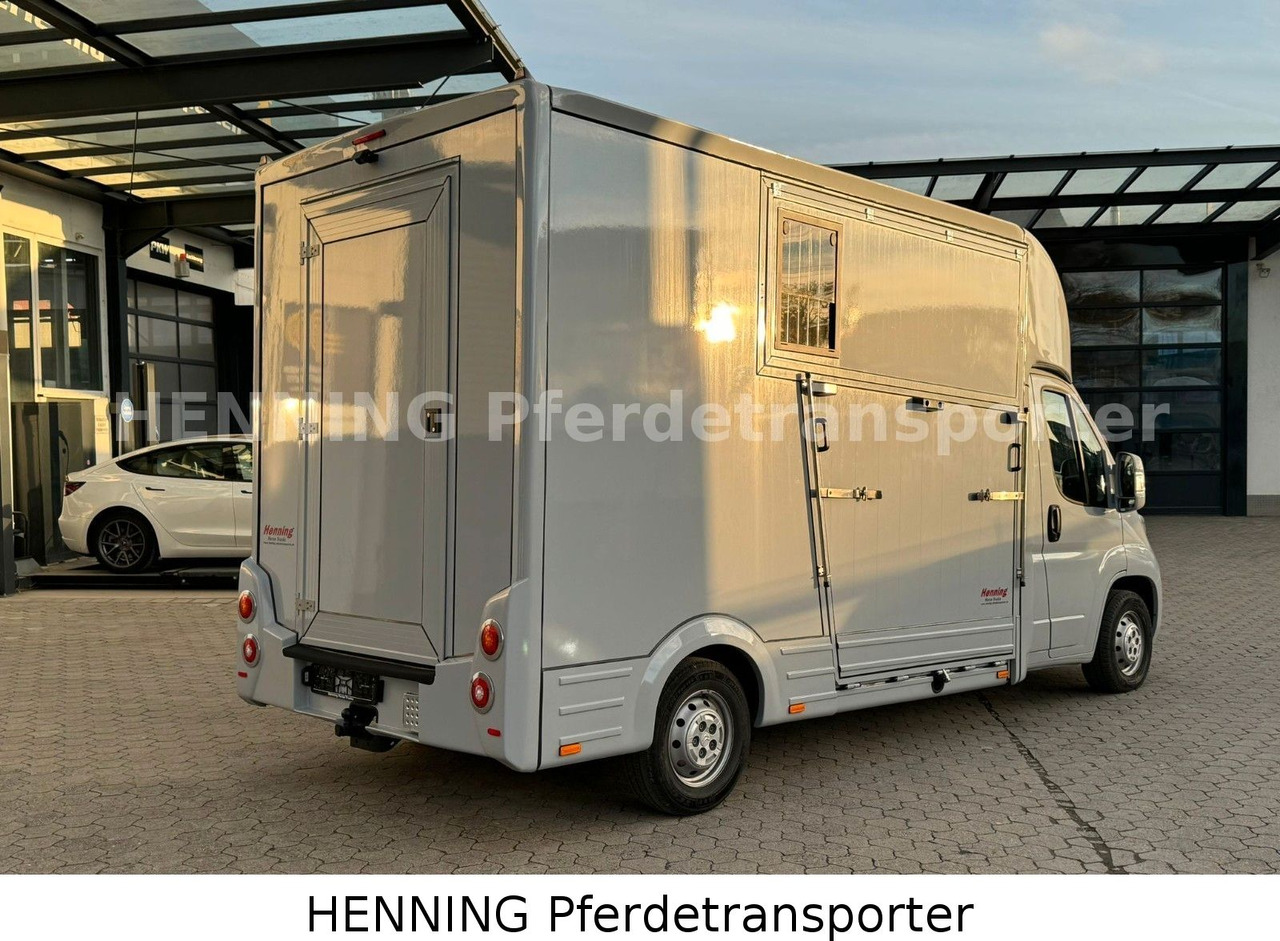 Citroën Jumper 3 - Sitzer - Transporte de ganado camión: foto 3 Citroën Jumper 3 - Sitzer - Transporte de ganado camión: foto 3