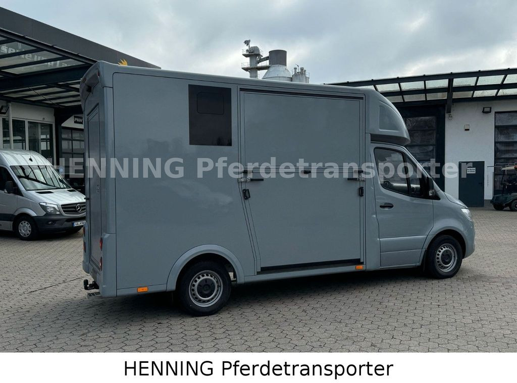 Mercedes-Benz Sprinter 3 - Sitzer *NEUFAHRZEUG* - Camión para caballos: foto 3 Mercedes-Benz Sprinter 3 - Sitzer *NEUFAHRZEUG* - Camión para caballos: foto 3