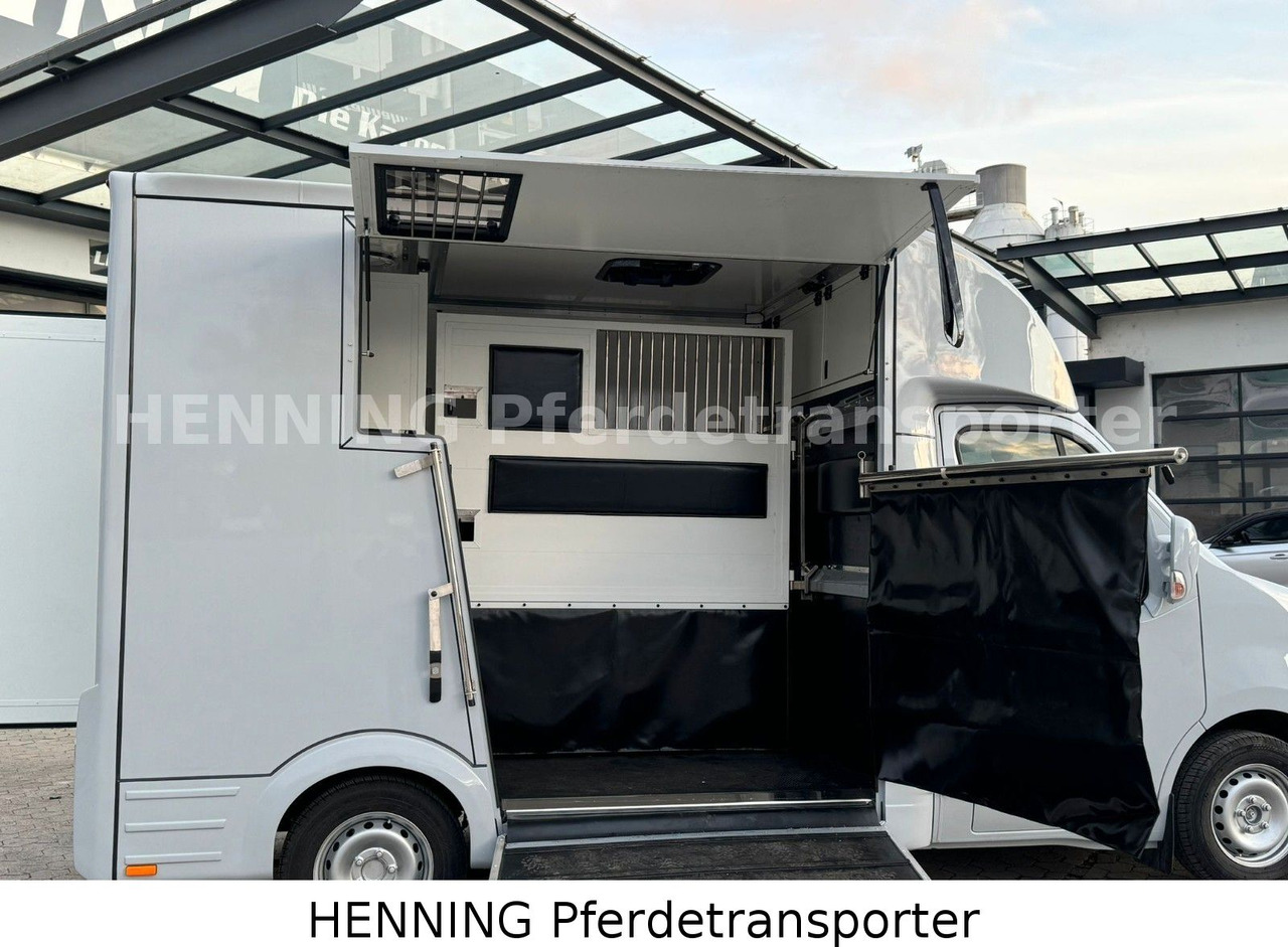 Nissan Interstar - Transporte de ganado camión: foto 5 Nissan Interstar - Transporte de ganado camión: foto 5