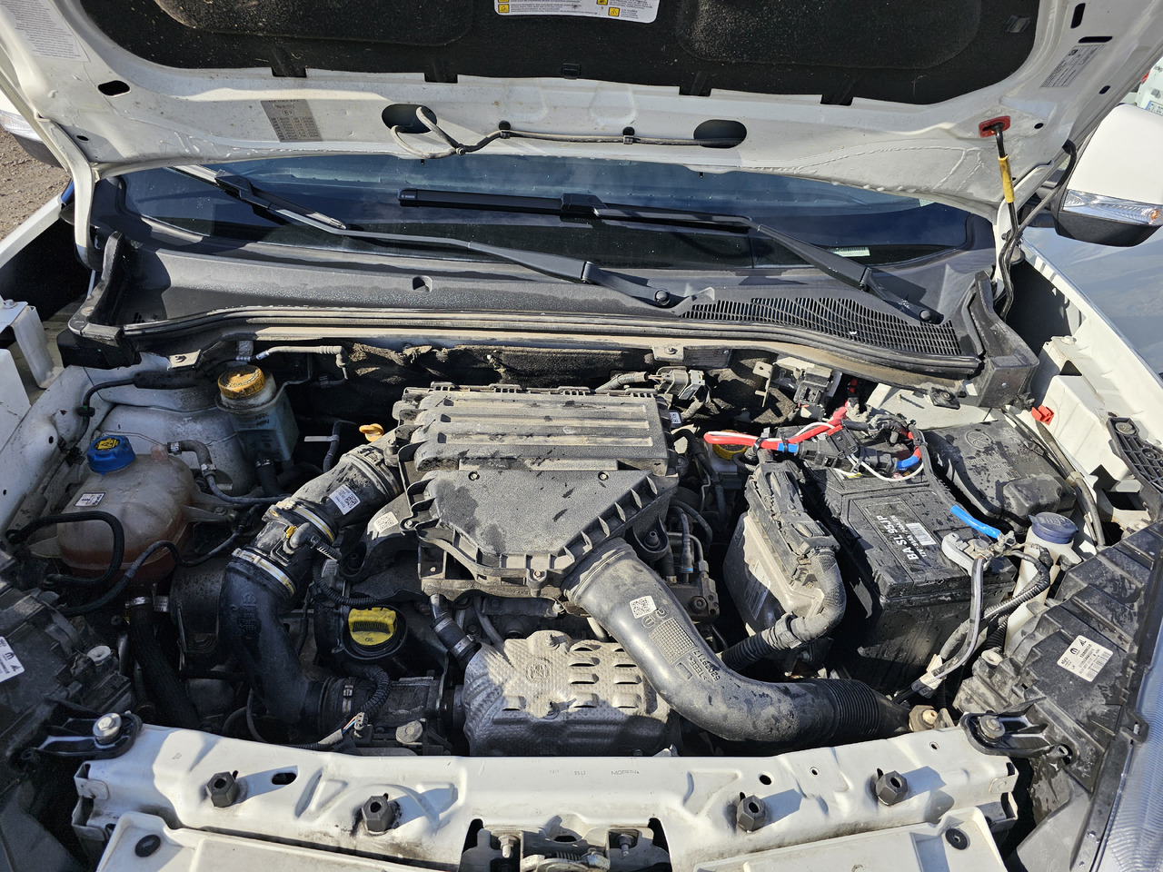 Frigorífico furgoneta FIAT DOBLO LONG CHLODNIA carrier KLIMA  EURO6 [ Copy ]: foto 11