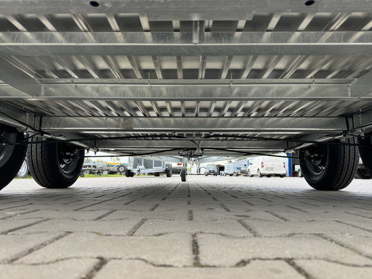 Remolque para caballos nuevo Cheval Liberté Gold Origins ALU 2000 kg: foto 15