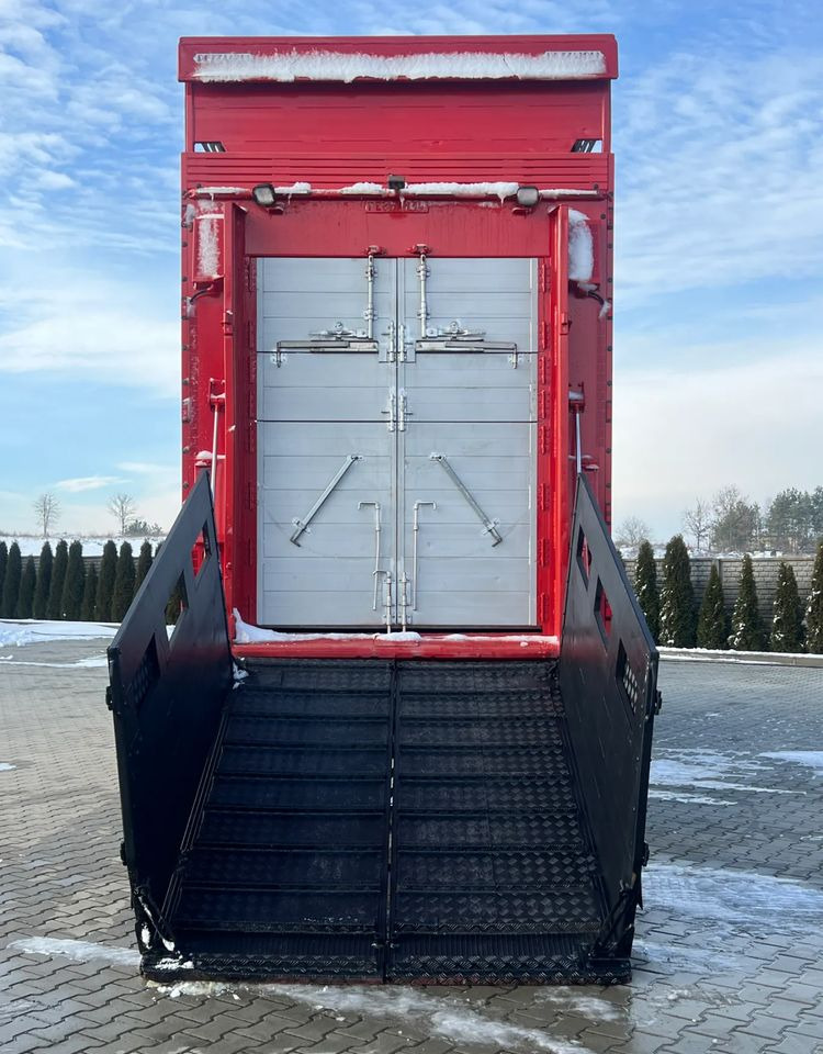 Pezzaioli Pezzaioli RBA22 Dwuosiowa Przyczepa – 2x Bydło, 3x Trzoda - Transporte de ganado remolque: foto 4 Pezzaioli Pezzaioli RBA22 Dwuosiowa Przyczepa – 2x Bydło, 3x Trzoda - Transporte de ganado remolque: foto 4
