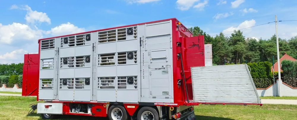 Pezzaioli RBA 32/TRZYOSIOWA PRZYCZEPA-2XBYDŁO,3X TRZODA/HYDRAULICZNIE PODNOSZONY DACH I PODŁOGI / OŚ ŚRODKOWA PODNOSZONA - Transporte de ganado remolque: foto 2 Pezzaioli RBA 32/TRZYOSIOWA PRZYCZEPA-2XBYDŁO,3X TRZODA/HYDRAULICZNIE PODNOSZONY DACH I PODŁOGI / OŚ ŚRODKOWA PODNOSZONA - Transporte de ganado remolque: foto 2