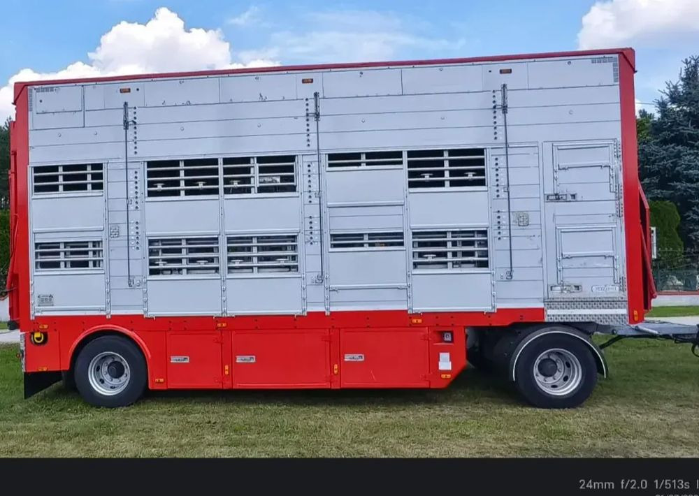 Pezzaioli RBA22 Dwuosiowa Przyczepa – 2x Bydło, 3x Trzoda – 2017r – Bezwypadkowa! - Transporte de ganado remolque: foto 1 Pezzaioli RBA22 Dwuosiowa Przyczepa – 2x Bydło, 3x Trzoda – 2017r – Bezwypadkowa! - Transporte de ganado remolque: foto 1