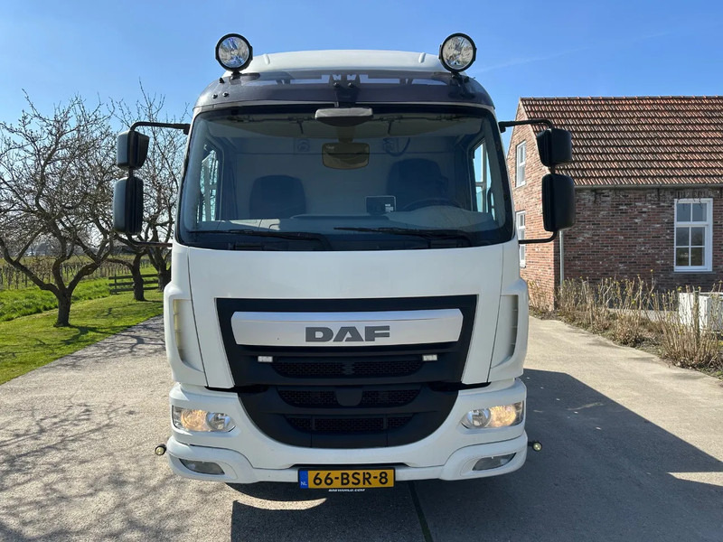DAF LF 250 / NL TRUCK / EURO6 / LENGTE BAK 950cm / 12T - Portavehículos camión: foto 2 DAF LF 250 / NL TRUCK / EURO6 / LENGTE BAK 950cm / 12T - Portavehículos camión: foto 2