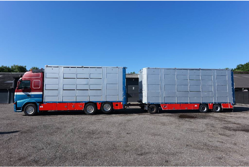 Volvo FH 13 480 6x2 3 stock livestock transport Cuppers - Transporte de ganado camión: foto 1 Volvo FH 13 480 6x2 3 stock livestock transport Cuppers - Transporte de ganado camión: foto 1