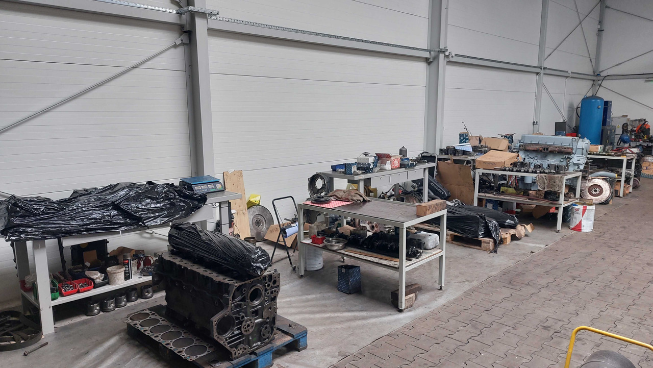 Regeneracja Naprawa Silnik MAN D08 D20 D2676 D38 D28 LF01-49 LF50-69 - Motor para Camión: foto 1 Regeneracja Naprawa Silnik MAN D08 D20 D2676 D38 D28 LF01-49 LF50-69 - Motor para Camión: foto 1