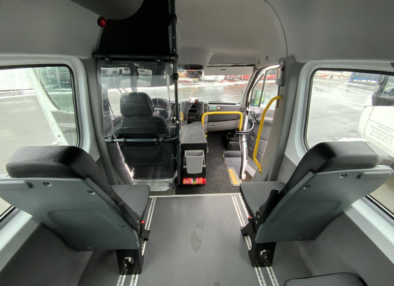 Minibús, Furgoneta de pasajeros Mercedes-Benz 313 CDI Sprinter: foto 13