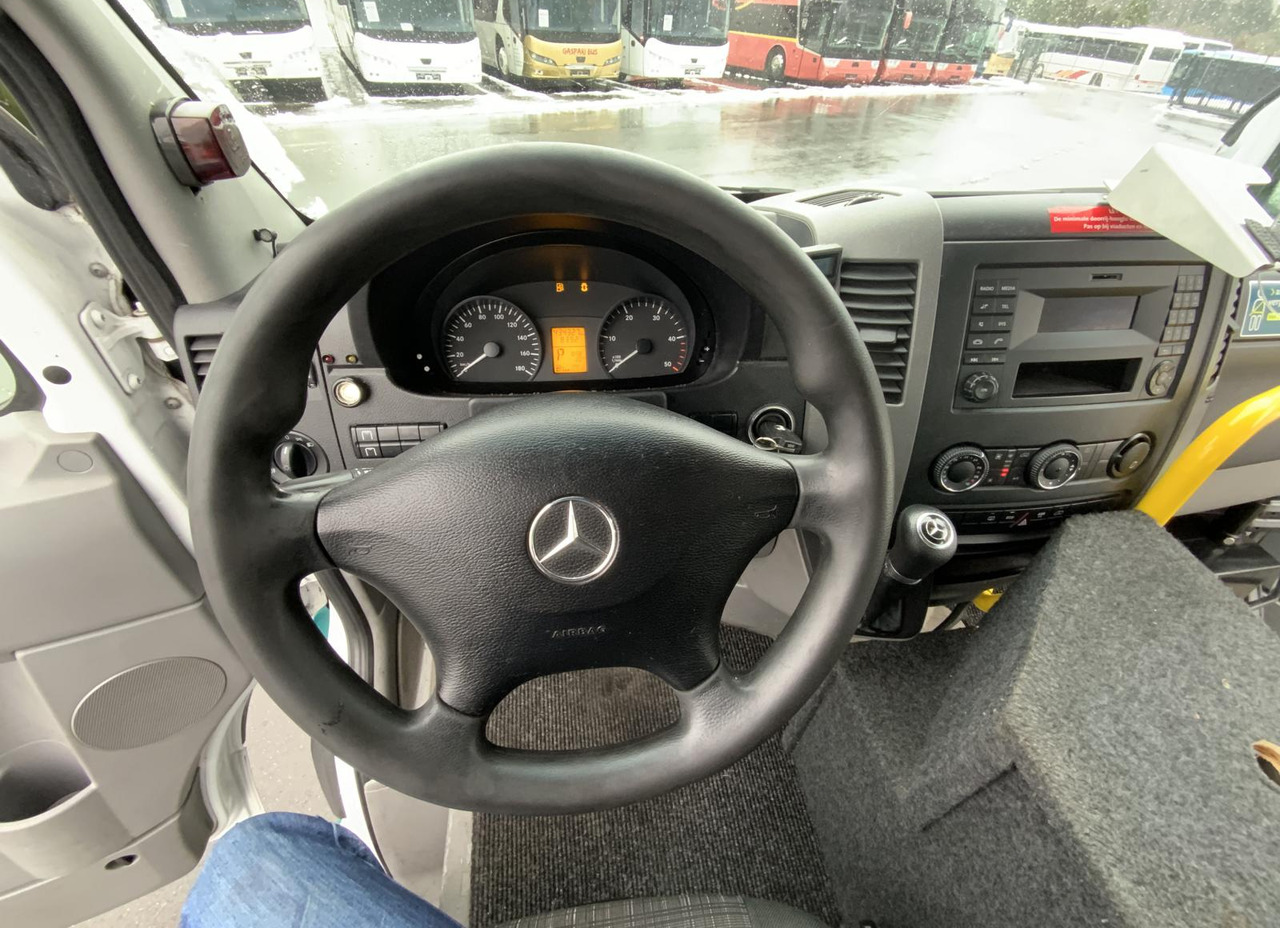 Minibús, Furgoneta de pasajeros Mercedes-Benz 313 CDI Sprinter: foto 16