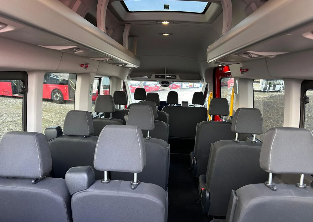 Minibús, Furgoneta de pasajeros Ford Transit: foto 19