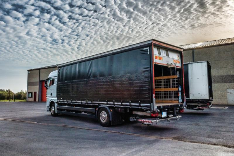 MAN TGX 18.400 XLX+HAYON - Camión lona: foto 4 MAN TGX 18.400 XLX+HAYON - Camión lona: foto 4