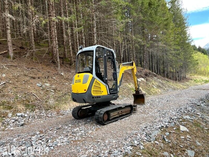 2013 Wacker Neuson ET 24 minigraver - 2500 kg - 2 skuffer - Tilt på hytte - Miniexcavadora: foto 4 2013 Wacker Neuson ET 24 minigraver - 2500 kg - 2 skuffer - Tilt på hytte - Miniexcavadora: foto 4