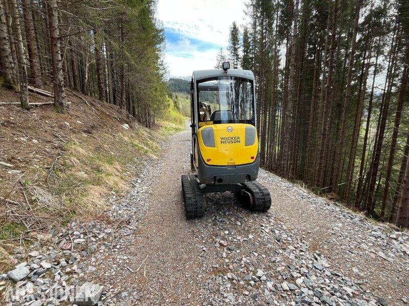 2013 Wacker Neuson ET 24 minigraver - 2500 kg - 2 skuffer - Tilt på hytte - Miniexcavadora: foto 5 2013 Wacker Neuson ET 24 minigraver - 2500 kg - 2 skuffer - Tilt på hytte - Miniexcavadora: foto 5