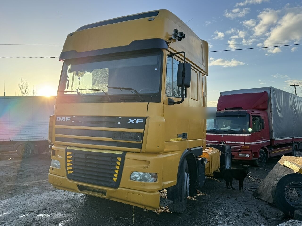 Cabeza tractora DAF XF95 430 ATI RETARDER EXPORT: foto 12