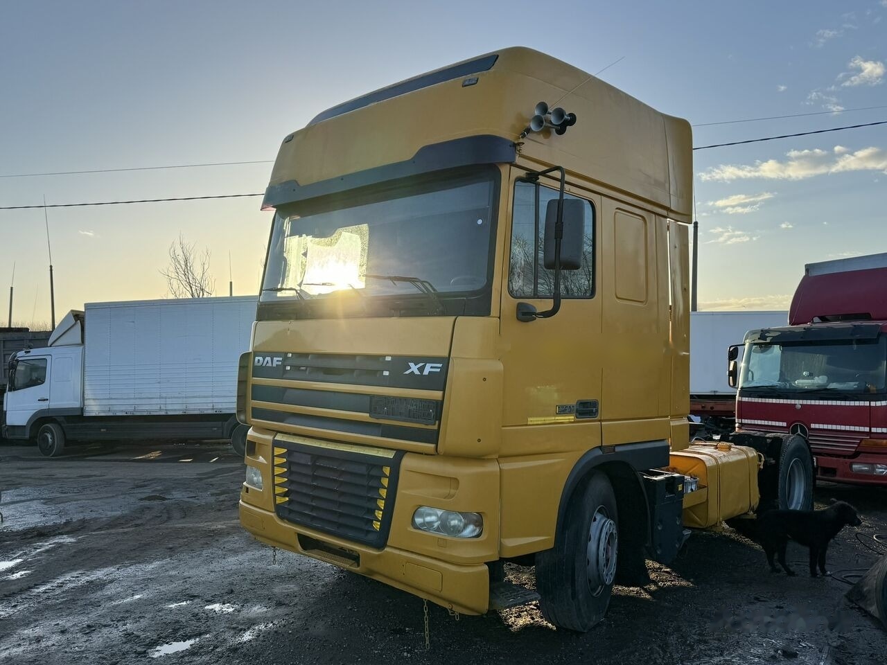 Cabeza tractora DAF XF95 430 ATI RETARDER EXPORT: foto 11