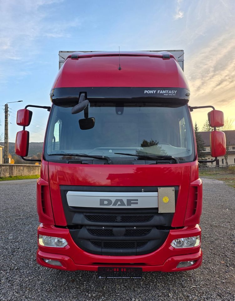 DAF LF 290 / WINDA / 16TON DMC / 3M WYSOKOŚĆ / JUMBO / FIRANKA / SYPIALKA / AUTOMAT / JEDEN WŁAŚCICIE / EURO 6 / 2017/ SPROWADZONY / 19 PALET / DUŻA ŁADOWNOŚĆ / - Camión lona: foto 3 DAF LF 290 / WINDA / 16TON DMC / 3M WYSOKOŚĆ / JUMBO / FIRANKA / SYPIALKA / AUTOMAT / JEDEN WŁAŚCICIE / EURO 6 / 2017/ SPROWADZONY / 19 PALET / DUŻA ŁADOWNOŚĆ / - Camión lona: foto 3