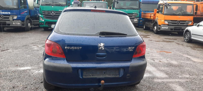 Peugeot 307 Grand Filou - Hatchback: foto 4 Peugeot 307 Grand Filou - Hatchback: foto 4