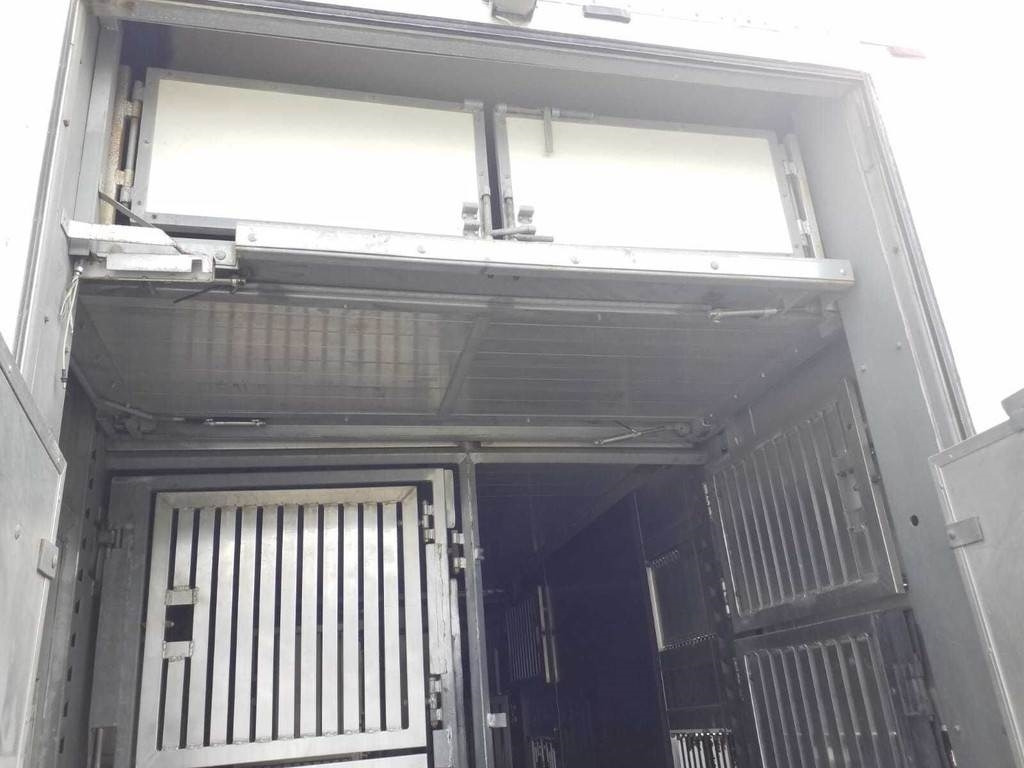 Transporte de ganado camión MAN TGX 35.540 8X4 TRIDEM ANIMAL: foto 9 Transporte de ganado camión MAN TGX 35.540 8X4 TRIDEM ANIMAL: foto 9