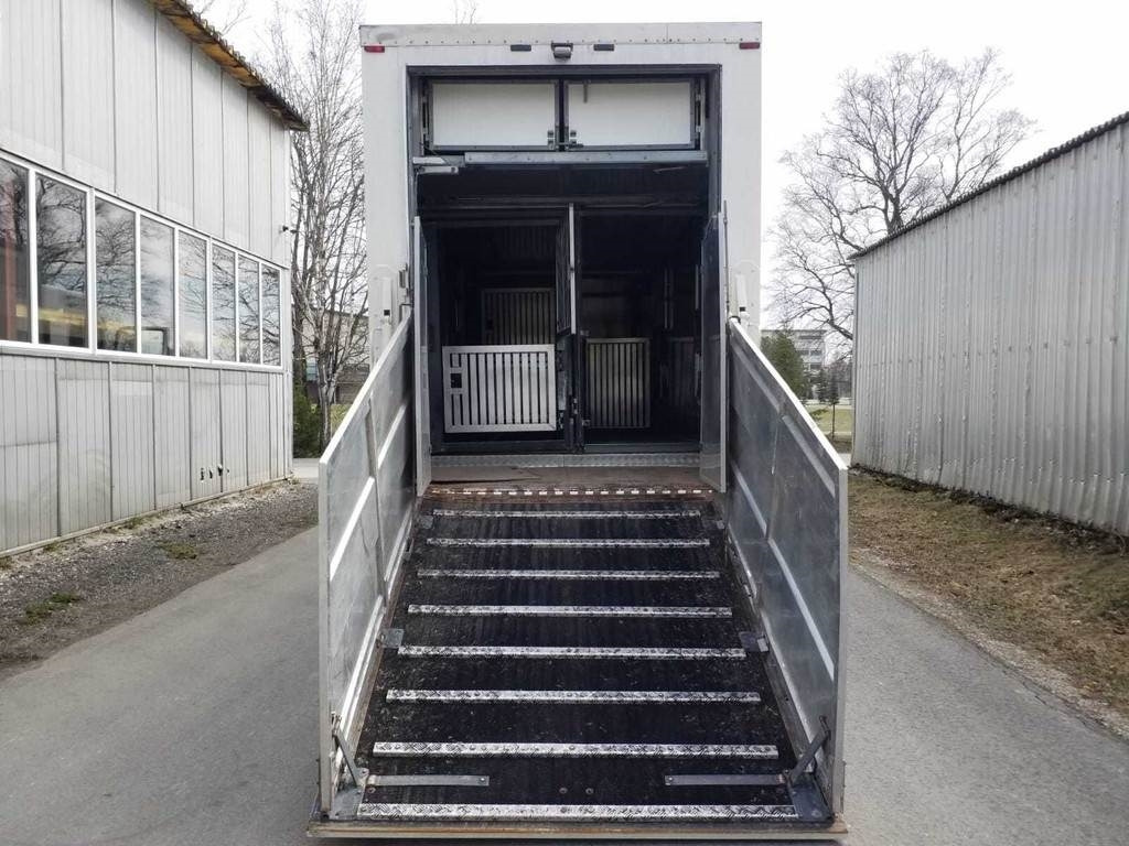 Transporte de ganado camión MAN TGX 35.540 8X4 TRIDEM ANIMAL: foto 6 Transporte de ganado camión MAN TGX 35.540 8X4 TRIDEM ANIMAL: foto 6