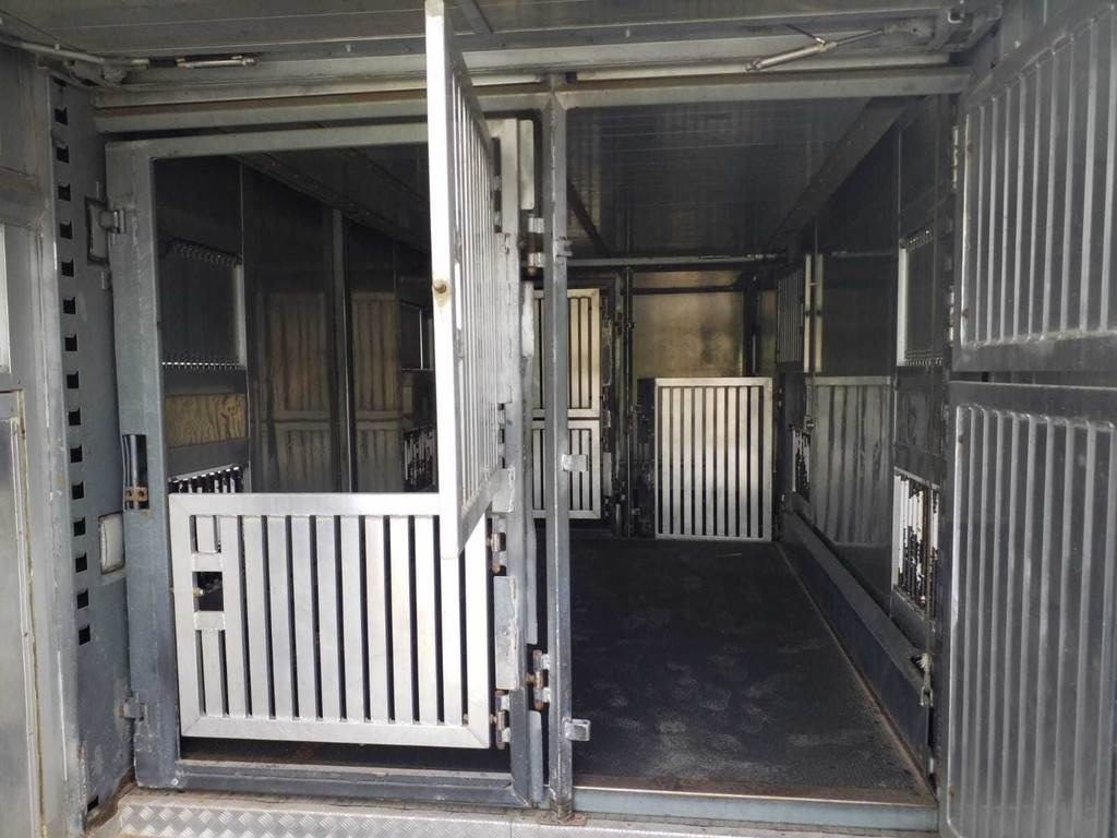 Transporte de ganado camión MAN TGX 35.540 8X4 TRIDEM ANIMAL: foto 7 Transporte de ganado camión MAN TGX 35.540 8X4 TRIDEM ANIMAL: foto 7