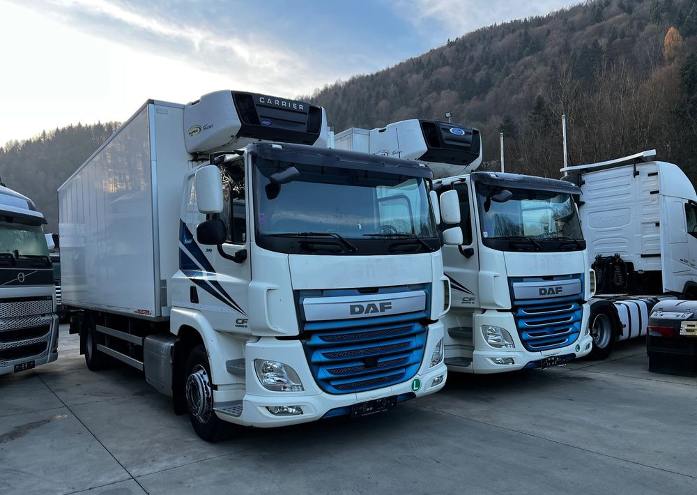 DAF CF370 // Chłodnia Carrier Supra 850 // Sypialka // 2017 Rok // ACC // - Frigorífico camión: foto 3 DAF CF370 // Chłodnia Carrier Supra 850 // Sypialka // 2017 Rok // ACC // - Frigorífico camión: foto 3