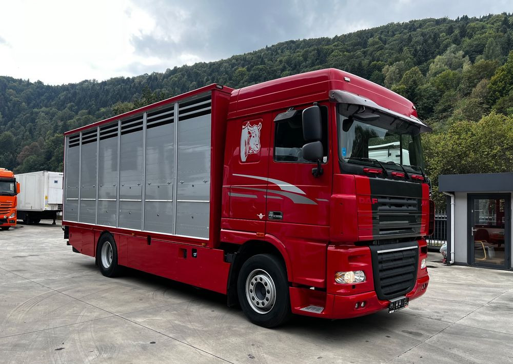 DAF XF 105.460 Euro 5 // Manual // Retarder // Do Żywca / Bydła / Zwierząt / - Transporte de ganado camión: foto 2 DAF XF 105.460 Euro 5 // Manual // Retarder // Do Żywca / Bydła / Zwierząt / - Transporte de ganado camión: foto 2