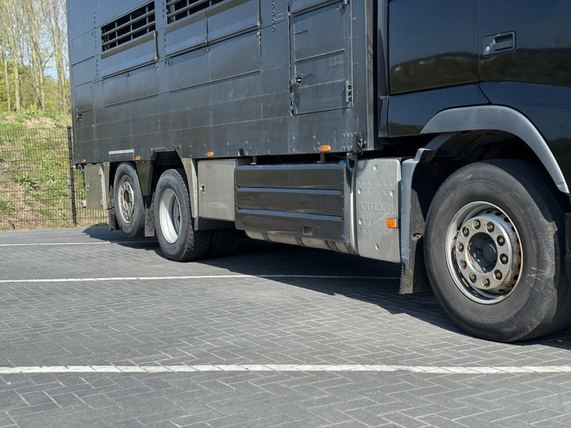 Volvo FH 13.540 STEERING, RETARDER, DOUBLE FLOOR, LIVE STOCK. - Transporte de ganado camión: foto 3 Volvo FH 13.540 STEERING, RETARDER, DOUBLE FLOOR, LIVE STOCK. - Transporte de ganado camión: foto 3